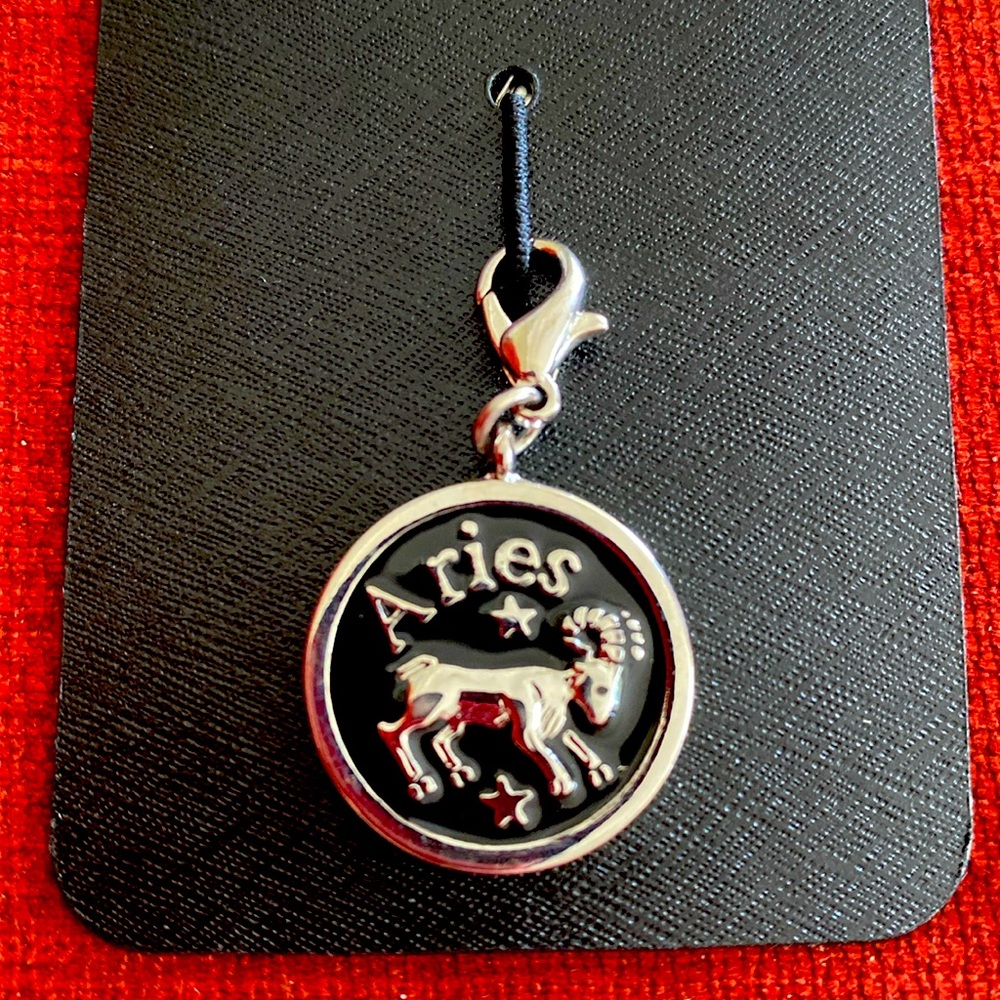 🆕NWT NEW YORK AND COMPANY: Discontinued Name Brand- Silver Aries ♈️ Charm